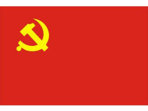 党员自我鉴定(对自己学习和工作生活等表现的一个自我总结)