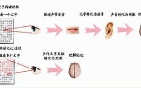 直映教育(教育培训机构)