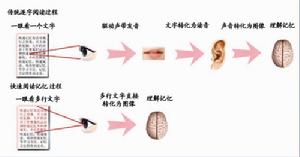 直映教育(教育培训机构)