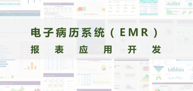 电子病历(计算机化的病案系统)