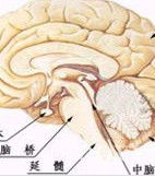 精神病学(现代医学科学)