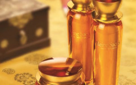 新生活集团(综合生活用品集团)