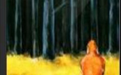 梵高先生(李志演唱的单曲)