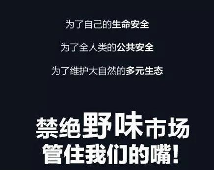 野味(汉语词语)