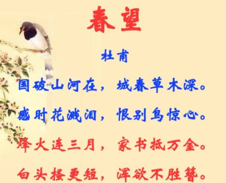 春望(唐代诗人杜甫诗作)