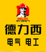 德力西(中国500强企业)