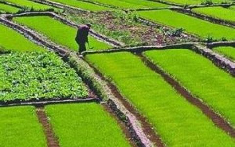 农村土地承包(采取农村集体经济组织内部的家庭承包方式)