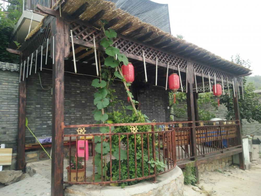 农家院(旅游业态场所)