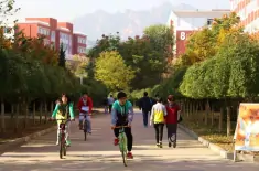 青岛职业技术学院(山东省青岛市公办大学)