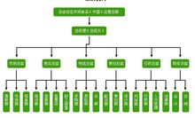 自由自在进口食品(进出口食品企业)