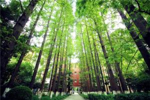 东华大学(全国重点大学)