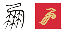 深圳航空(深圳航空有限责任公司)
