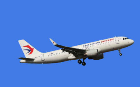 中国东方航空集团有限公司(中国交通运输行业有限公司)