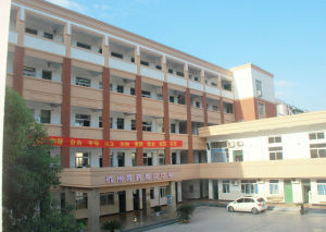 杭州育新高级中学(普通高中)