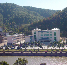 楚雄地震(2009年云南楚雄地震)