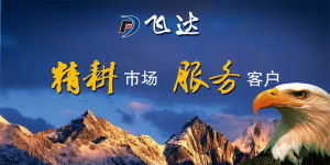 飞达(一个有限公司)