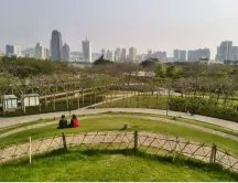 厦门(福建省辖地级市)
