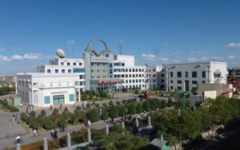 酒钢集团(我国西北地区最大的碳钢和不锈钢生产基地)