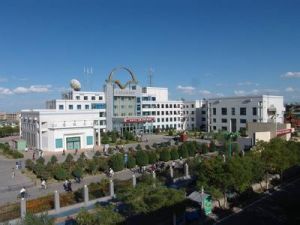 酒钢集团(我国西北地区最大的碳钢和不锈钢生产基地)