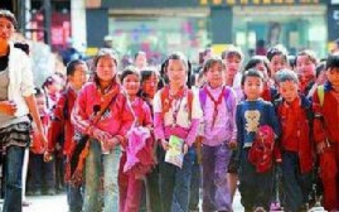 民办教育(私立教育)