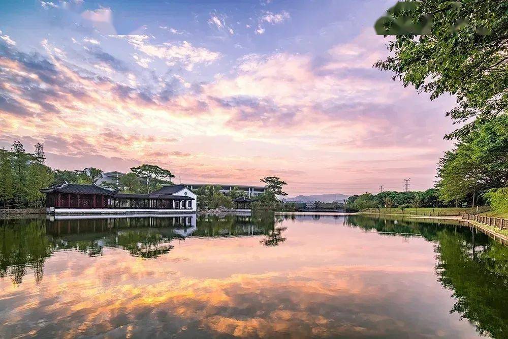 广东外语外贸大学南国商学院(综合类大学)