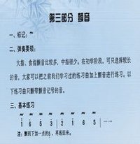 颤音(音乐术语)