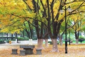 山东建筑大学(省部共建高校、省属重点高校)