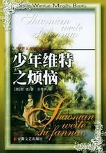 少年维特之烦恼(歌德创作的中篇小说)