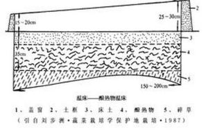 温床(汉语词汇)
