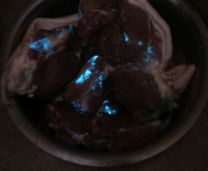 荧光猪肉(晚上会隐隐发出荧光的猪肉)