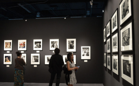 艺术展览(艺术流通媒介)