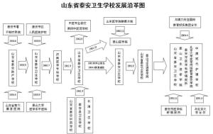 泰山护理职业学院(山东省公办院校)