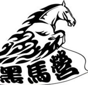黑马营(高端综合性创业服务平台)