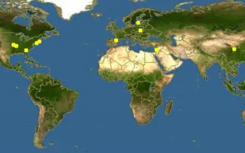 山茱萸(山茱萸科山茱萸属植物)