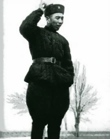 王震(中华人民共和国原副主席)