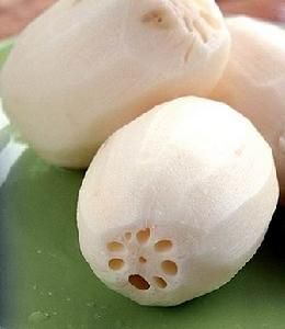 藕(睡莲科植物根茎)
