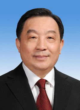 王晨(中央政治局委员，全国人大常委会副委员长)