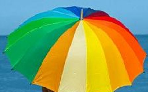 遮阳伞(用于遮防太阳光直接照射的伞)