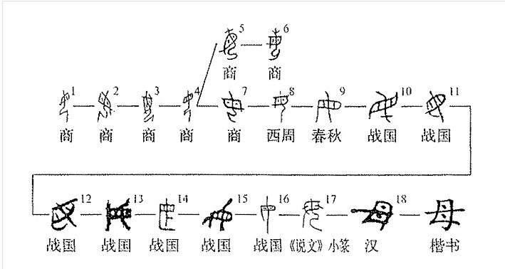 母(汉语汉字)