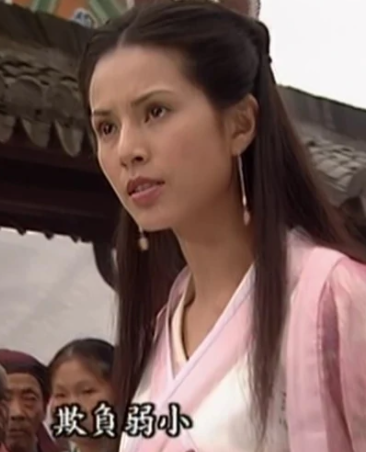 杨门女将之女儿当自强(2004年卫翰韬、黄伟明、袁英明执导的电视剧)