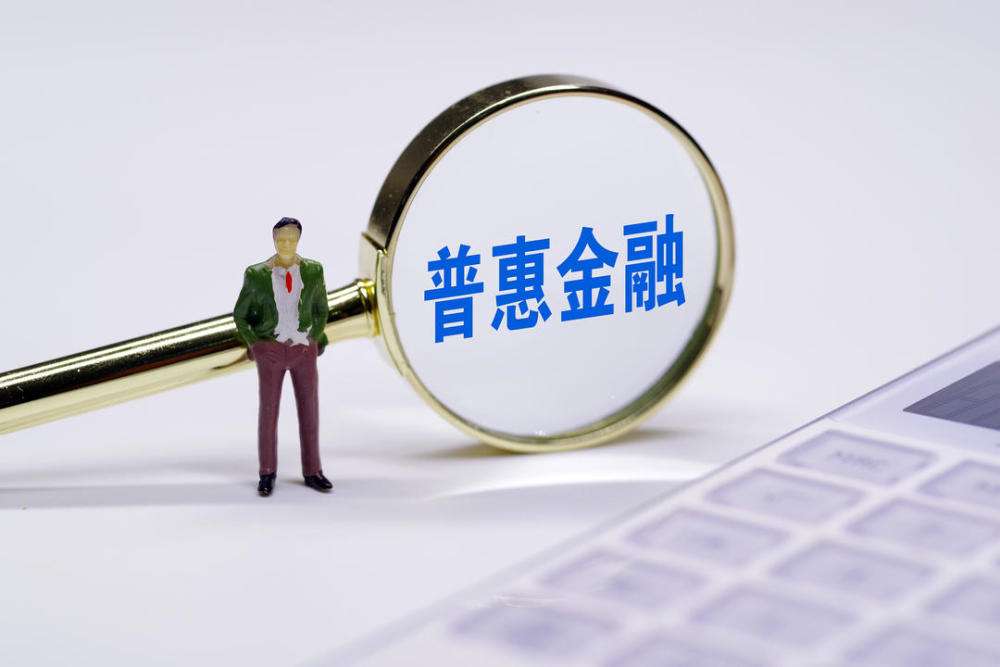 普惠金融(金融体系)