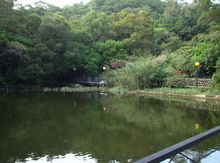 厦门萤火虫公园(福建省厦门市文曾路主题公园)