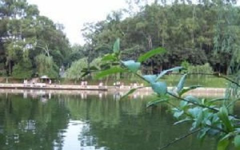 旗峰山(黄旗山主峰)