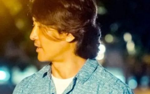 我的极品女神(2015年阚家伟执导的电影)