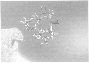 情感化设计(2005年电子工业出版社出版图书)