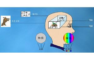 逻辑思维(抽象思维能力)