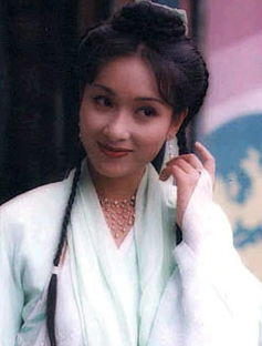 雪花神剑(1997年萧笙监制电视剧)