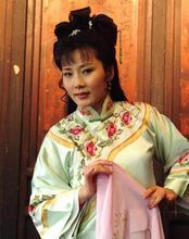 紫玉金砂(2005年秦汉主演电视剧)