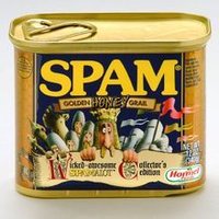 SPAM(罐装肉的牌子)