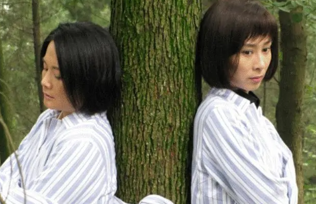 敌特在行动(2009年谷锦云执导的电视剧)